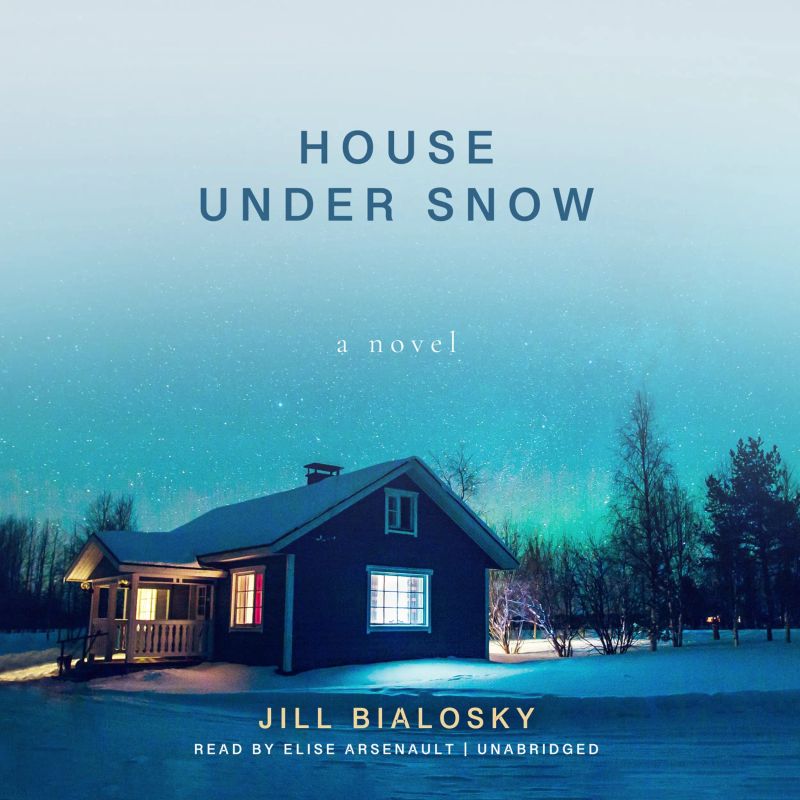 House under Snow