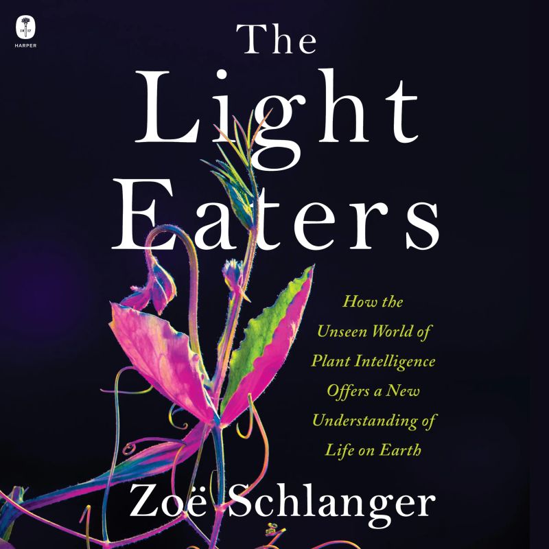 The Light Eaters
