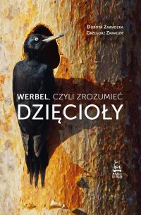 Werbel, czyli zrozumieć dzięcioły