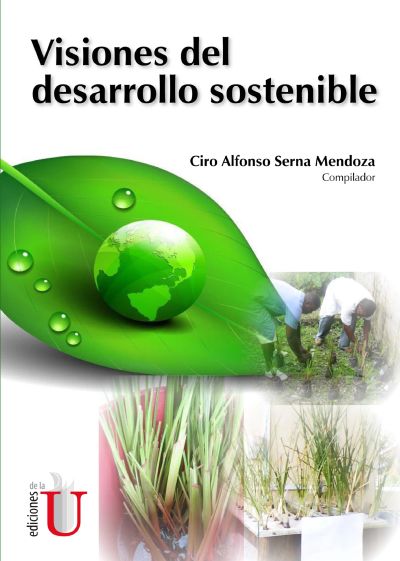 Visiones del desarrollo sostenible