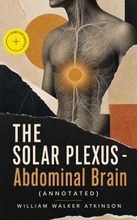 THE SOLAR PLEXUS - Abdominal Brain (Annotated)
