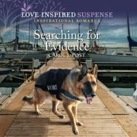 Searching For Evidence