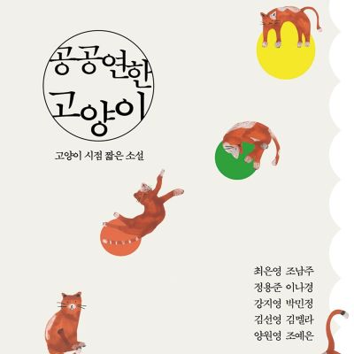 공공연한 고양이