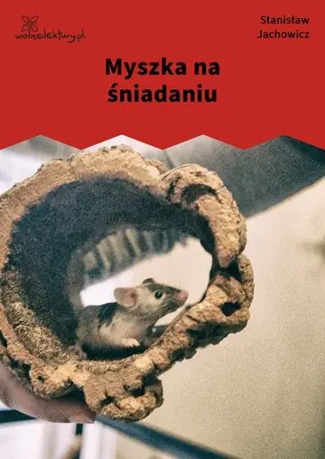 Myszka na śniadaniu