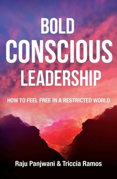 Bold Conscious Leadership 
