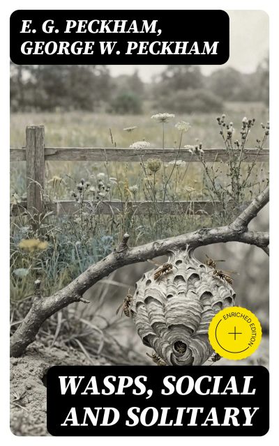 Wasps, Social and Solitary