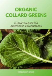 Organic Collard Greens