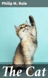 The Cat