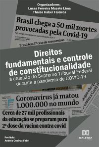 Direitos fundamentais e controle de constitucionalidade