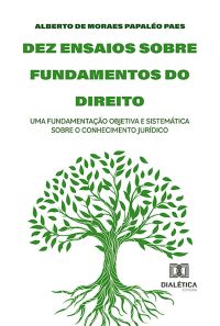 Dez ensaios sobre fundamentos do direito