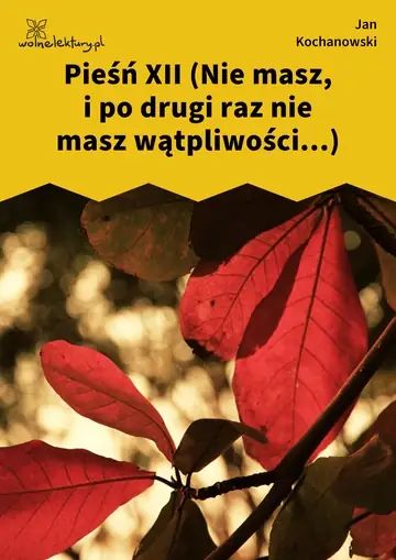 Pieśń XII (Nie masz, i po drugi raz nie masz wątpliwości...)