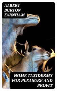 Home Taxidermy for Pleasure and Profit