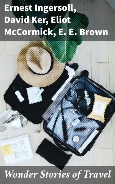 Wonder Stories of Travel