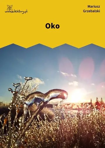 Oko