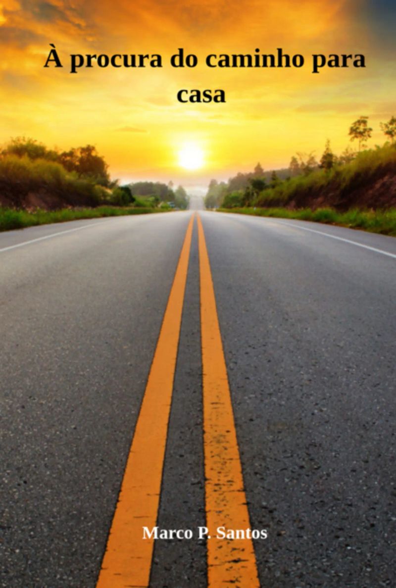 Á Procura Do Caminho Para Casa