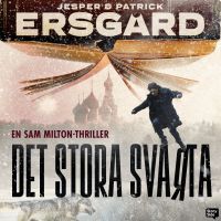 Det stora svarta