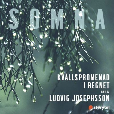 Kvällspromenad i regnet
