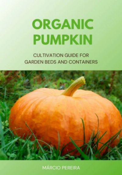 Organic Pumpkin