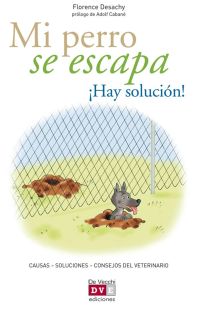 Mi perro se escapa ¡Hay solución!