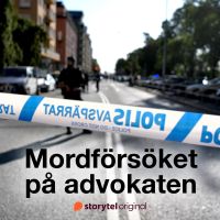 Mordförsöket på advokaten. Förundersökningen