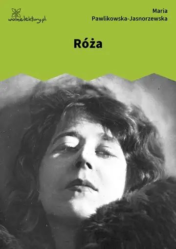 Róża