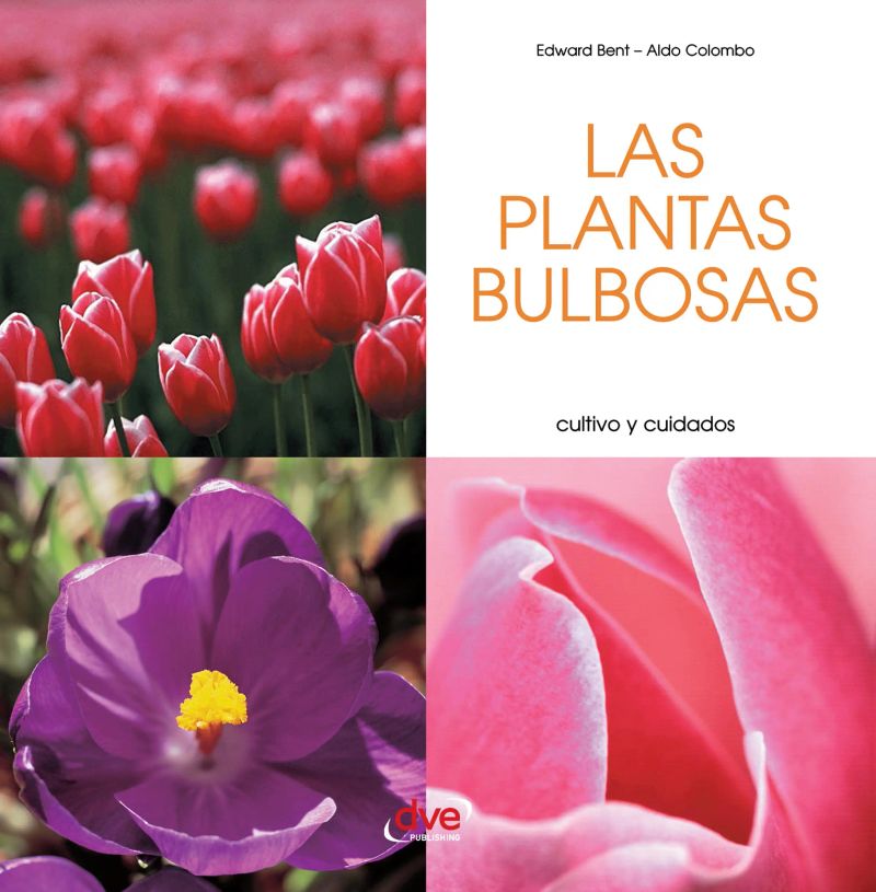 Las plantas bulbosas - Cultivo y cuidados