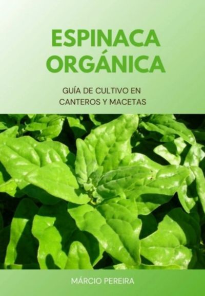 Espinaca Orgánica