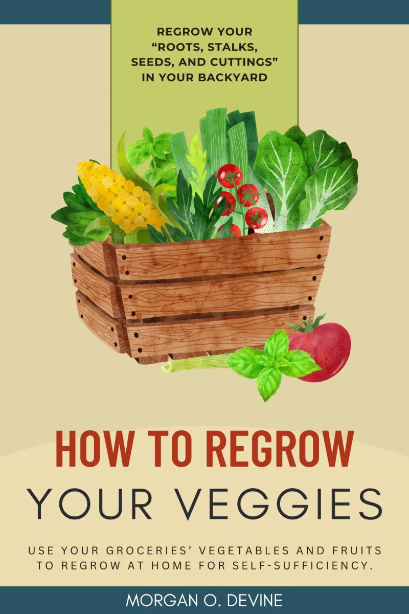 How to Regrow Your Veggies