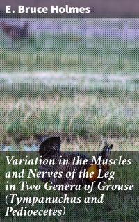 Variation in the Muscles and Nerves of the Leg in Two Genera of Grouse (Tympanuchus and Pedioecetes)