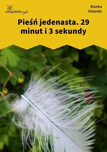 Pieśń jedenasta. 29 minut i 3 sekundy