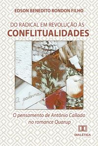 Do radical em revolução às conflitualidades