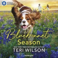 Bluebonnet Season