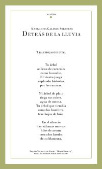 Detrás de la lluvia