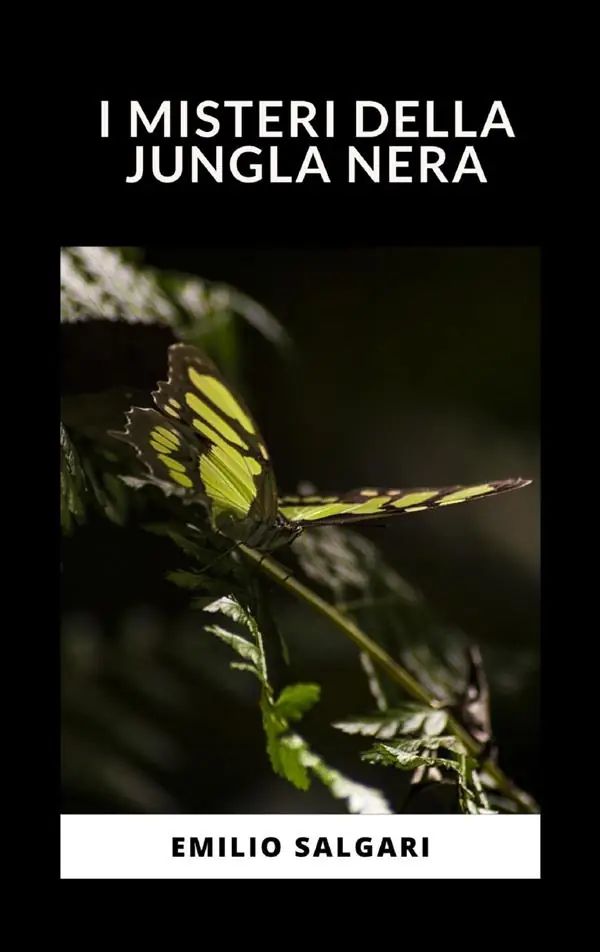 I misteri della jungla nera