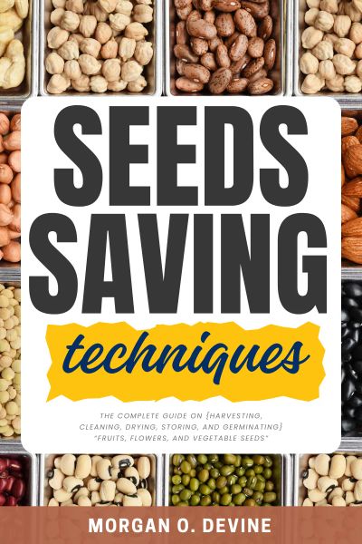 Seeds Saving Techniques