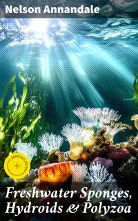 Freshwater Sponges, Hydroids & Polyzoa