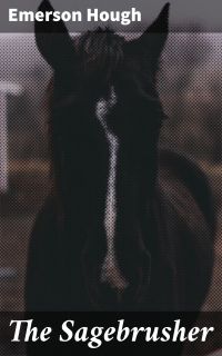 The Sagebrusher