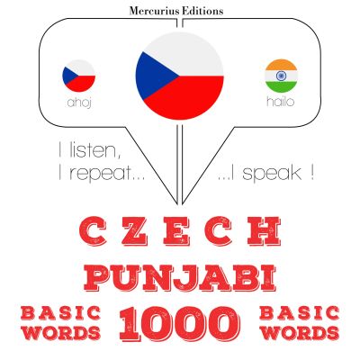Čeština - Punjabi: 1000 základních slov