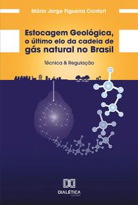 Estocagem Geológica, o último elo da cadeia de gás natural no Brasil