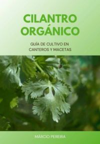 Cilantro Orgánico