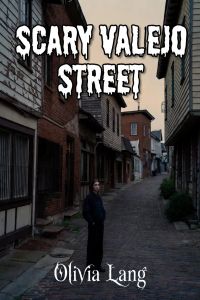 Scary Vallejo Street