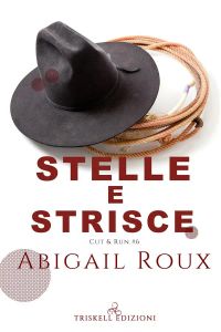 Stelle e strisce