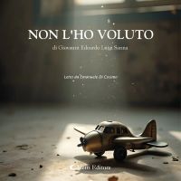 Non l'ho voluto