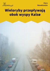 Wieloryby przepływają obok wyspy Kalsø