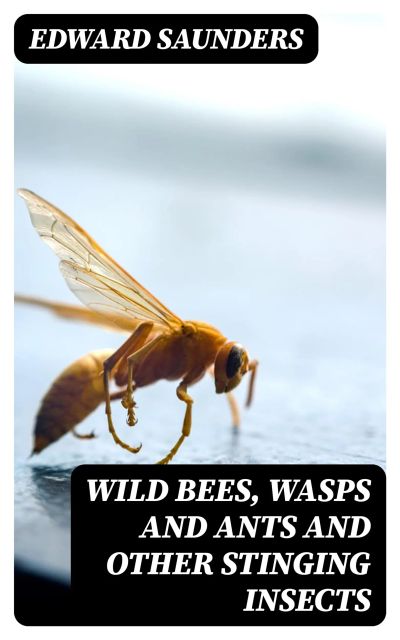 Wild Bees, Wasps and Ants and Other Stinging Insects