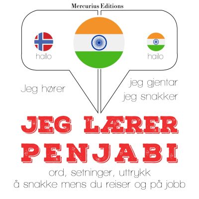 Jeg lærer penjabi