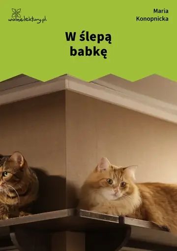 W ślepą babkę