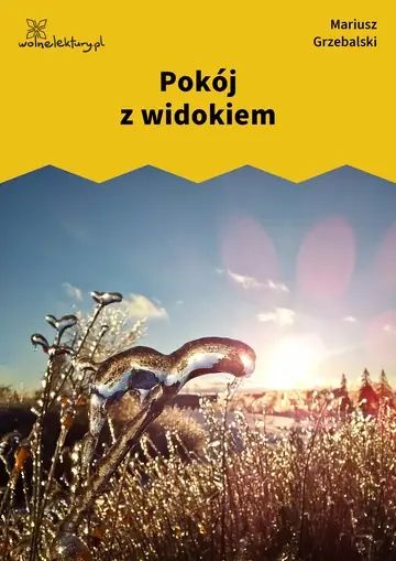 Pokój z widokiem