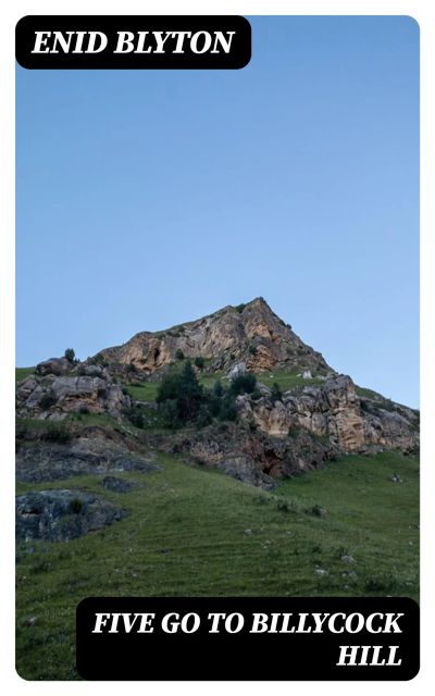 Five Go to Billycock Hill