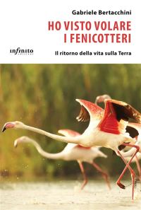 Ho visto volare i fenicotteri